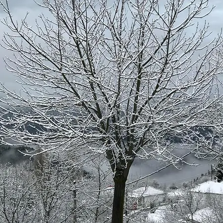 Mikro Katafygio Stavli Dış mekan fotoğraf