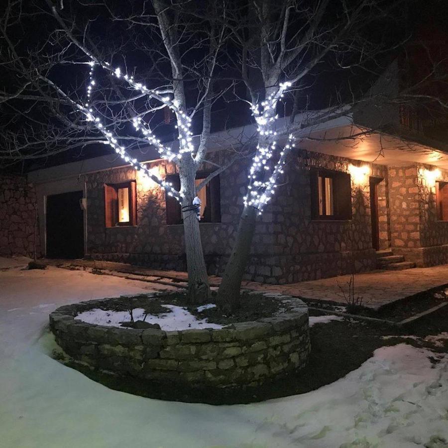 Mikro Katafygio