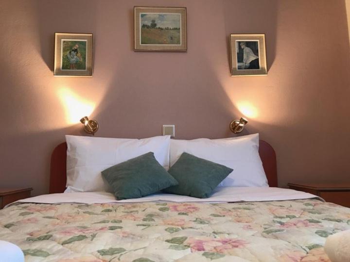 Mikro Katafygio Lodge Stavli