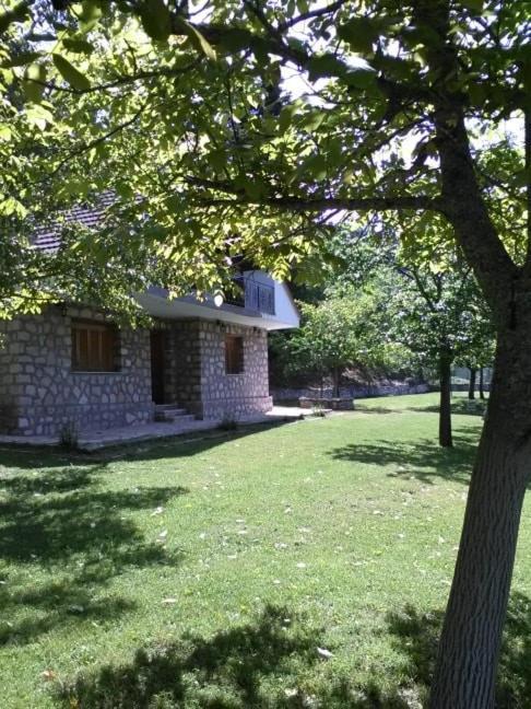Mikro Katafygio Lodge