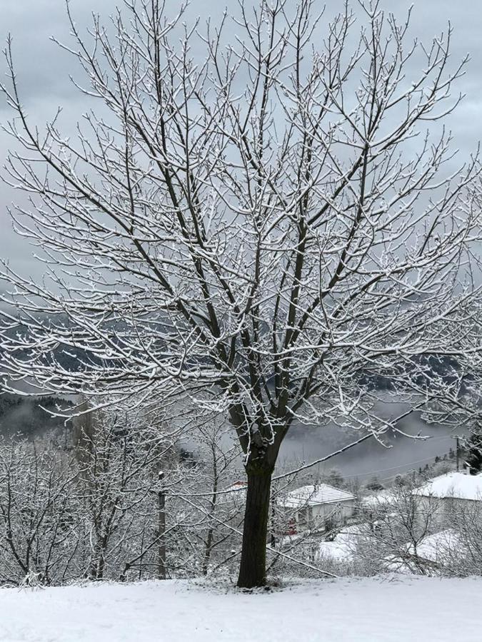 Mikro Katafygio * Stavli