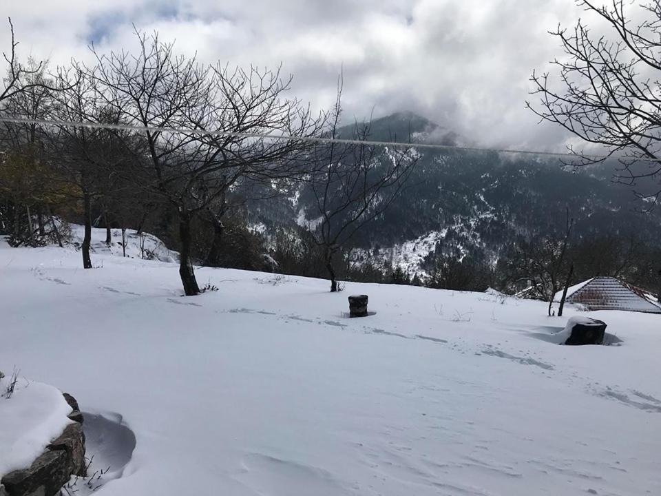 Mikro Katafygio Lodge Stavli